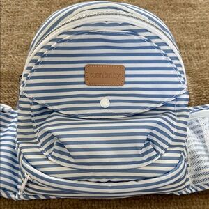 Blue and White Striped TushBaby Hip Carrier